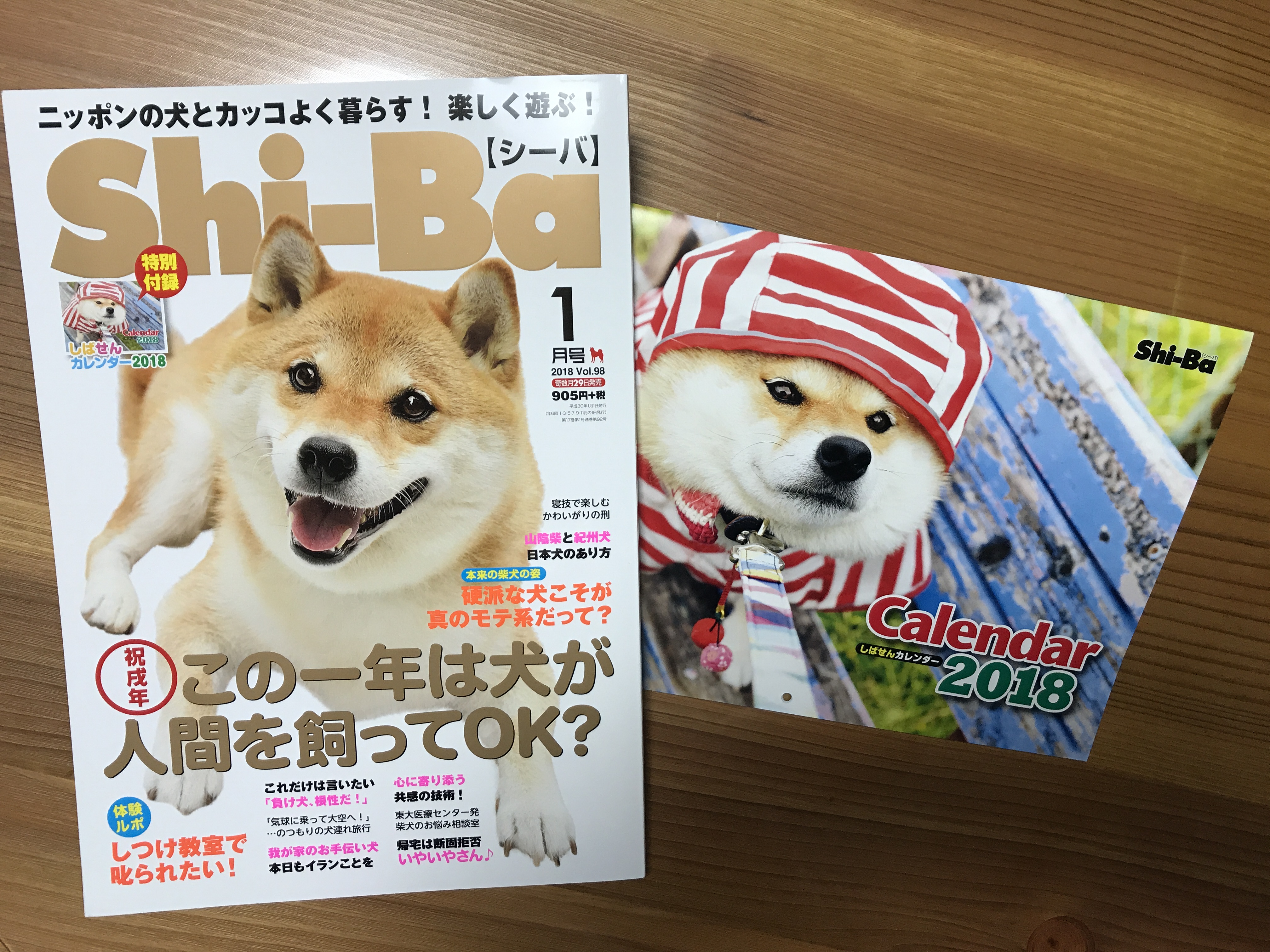 ｓｈｉ ｂａ １月号発売です 埼玉県川越市 犬のしつけ Dog In Total