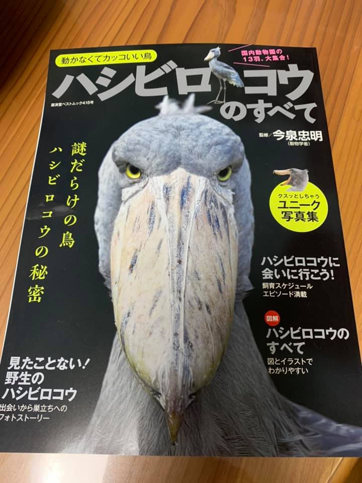 トリマーさんからの贈り物 埼玉県川越市 犬のしつけ Dog In Total